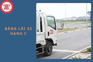 Độ Tuổi Cấp Bằng Lái Xe Ô Tô Hạng C Từ Ngày 01/01/2025 Là Bao Nhiêu?