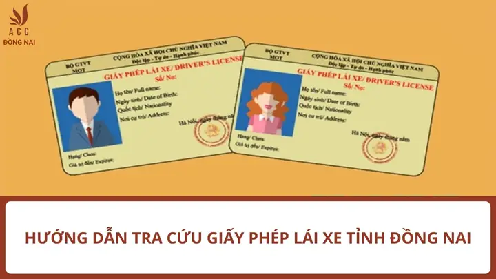 Hướng Dẫn Tra Cứu Giấy Phép Lái Xe Tỉnh Đồng Nai