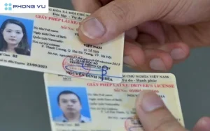 Những Lưu Ý Quan Trọng Khi Đổi Giấy Phép Lái Xe Online