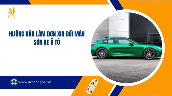 Hình Thức Trình Bày Đơn