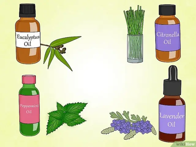 Đuổi Ruồi, Muỗi Bằng Tinh Dầu Thiên Nhiên