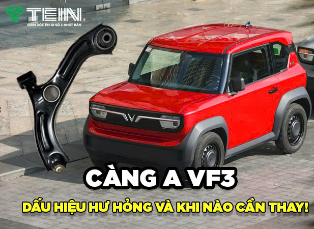 gam vf3 4
