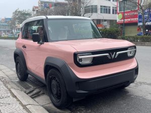 gia thue pin xe vf3 2