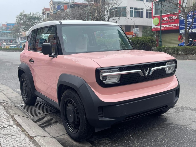 gia thue pin xe vf3 2