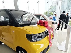 Có Nên Mua Xe Ô Tô Điện Trung Quốc Tại Việt Nam Không?