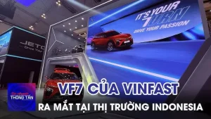 Phân Khúc Xe Điện (ev) Và Hybrid