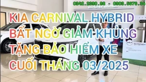 Giá Xe Ô Tô Kia Van: Bảng Giá Chi Tiết, Đánh Giá & Kinh Nghiệm Mua Tốt Nhất