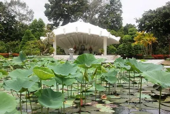 Mẹo Nhỏ Khi Ghé Thăm Quán