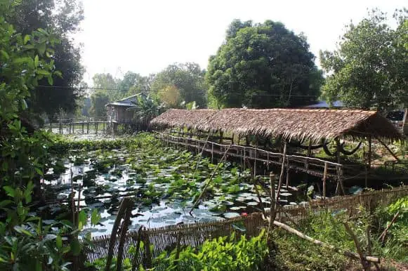 Đánh Giá Từ Khách Hàng Và Cộng Đồng Ẩm Thực