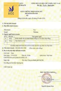 Hướng Dẫn Chi Tiết: Giấy Phép Cho Thuê Xe Ô Tô Tự Lái 2024