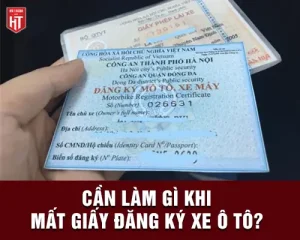 Giấy Thông Hành Xe Ô Tô Là Gì? Hướng Dẫn Thủ Tục Xin Cấp Và Sử Dụng Chi Tiết