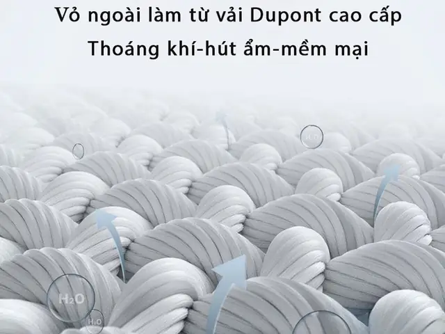 Gối Và Đệm Massage Xe Ô Tô Winci Ccw-c003