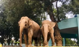 Giới Thiệu Về Công Viên Thủ Lệ