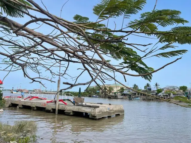 Hướng Dẫn Gửi Xe Ô Tô Ở Cảng Trần Đề An Toàn Và Tiện Lợi