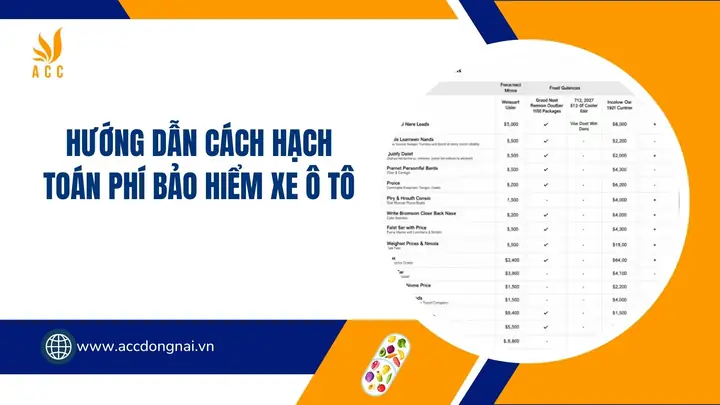 Hướng Dẫn Cách Hạch Toán Phí Bảo Hiểm Xe Ô Tô