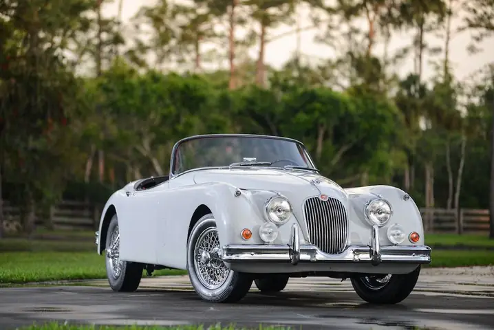 Năm 1951 – 1959: Những Năm Tháng “vàng Son” Của Jaguar