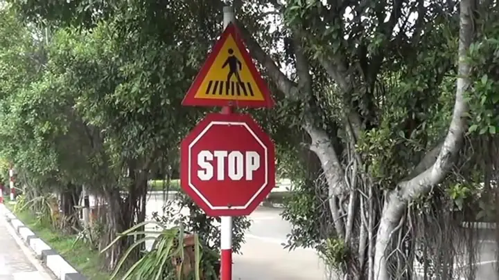 Bài 2: Dừng Xe Nhường Đường Cho Người Đi Bộ