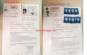 Trách Nhiệm Của Người Sở Hữu Bằng Lái B2