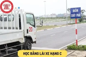 Học Bằng C Mất Bao Lâu?