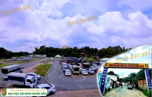 Thông Tin Về Bằng Lái Xe Ô Tô Hạng B2