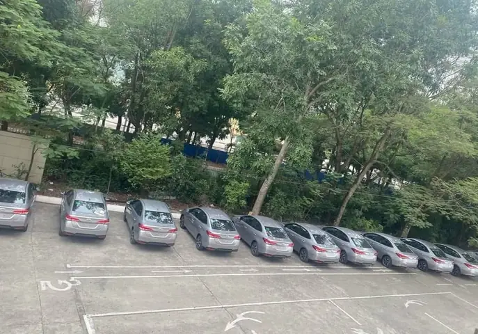 Học Lái Xe Ô Tô Trường Nam Triệu