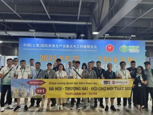 Chương Trình Chi Tiết