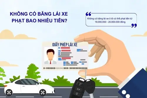 Không Bằng Lái Xe Phạt Bao Nhiêu Kể Từ Năm 2025?