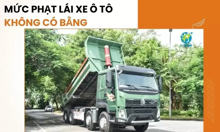 Sử Dụng Giấy Phép Lái Xe Không Phù Hợp: Phạt Từ 6.000.000 – 8.000.000 Đồng