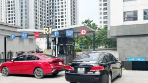 Không Đỗ Xe Ô Tô Trước Cty