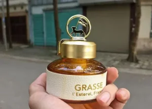 Cách Sử Dụng Và Bảo Quản Sản Phẩm Khử Mùi Dầu Trong Xe Ô Tô Đúng Cách