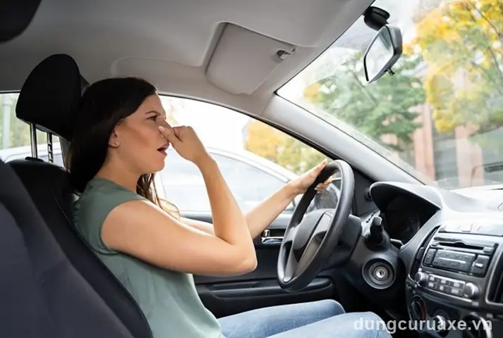 Cách Khử Mùi Hải Sản Trên Xe Ô Tô Hiệu Quả
