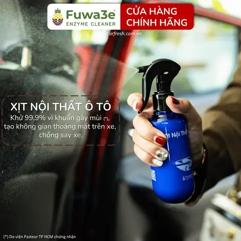 Cách Khử Mùi Nội Thất Ô Tôbằng Quả Dứa