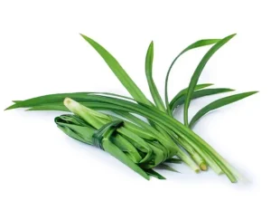 Khử Mùi Mới Trên Xe Ô Tô Bằng Lá Dứa