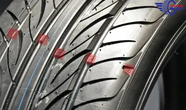 Phù Hợp Với Điều Kiện Địa Hình Và Thời Tiết