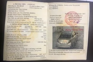 Tổng Quan Về Kiểm Định Xe Ô Tô