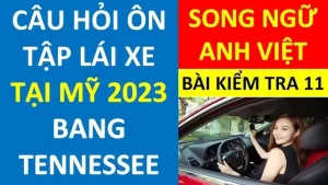 Hướng Dẫn Kiểm Tra Bằng Lái Xe Ô Tô Trên Mạng Chính Xác Và An Toàn