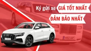 Ký Gửi Xe Ô Tô - Cẩm Nang Toàn Tập Từ A Đến Z Cho Chủ Xe Thông Thái