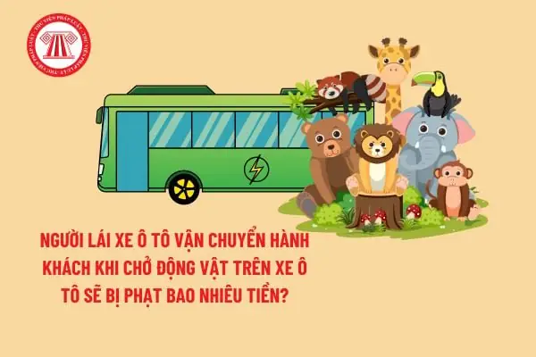 Yêu Cầu Đối Với Phương Tiện Chuyên Dùng Vận Chuyển Động Vật Sống