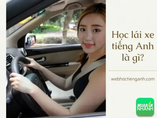 Lái Xe Ô Tô Tiếng Anh Là Gì? Từ Vựng Thiết Yếu Cho Người Mới Bắt Đầu