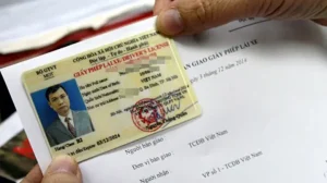 2thủ Tục Cấp Lại Bằng Lái Xe Máy, Ô Tô Bị Mất Không Cần Thi Lại