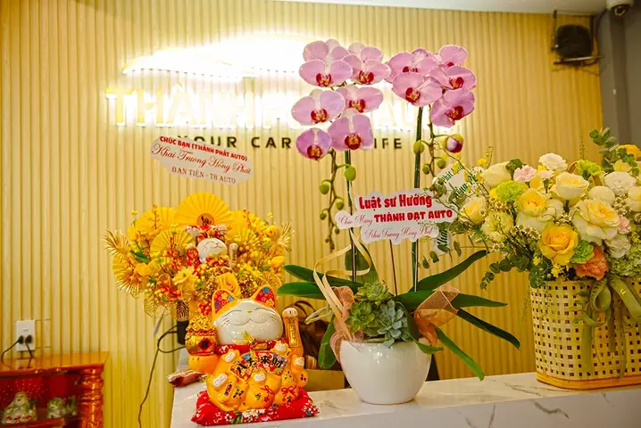 Lắp Camera Lùi Cho Xe Ô Tô