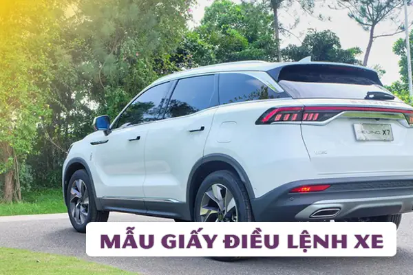 Máºªu Giáº¤y Äiá»u Lá»nh Xe Ô Tô