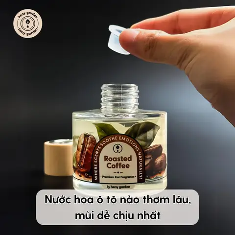 Nước Hoa Ô Tô Loại Nào Thơm Lâu Nhất, Mùi Dễ Chịu Nhất