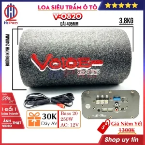 Tại Sao Nên Sử Dụng Loa 12v Gắn Xe Ô Tô?