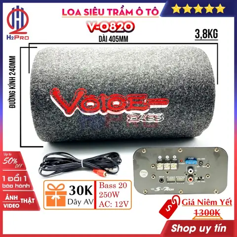 Tại Sao Nên Sử Dụng Loa 12v Gắn Xe Ô Tô?
