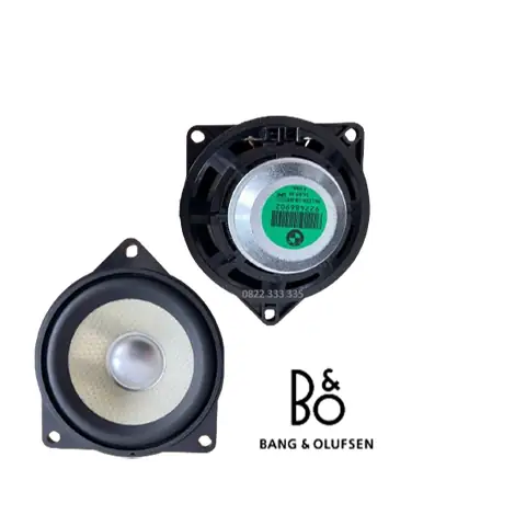 Loa B&o Tháo Xe Bmw