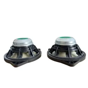 Loa B&o Tháo Xe Bmw