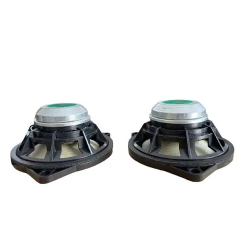 Loa B&o Tháo Xe Bmw