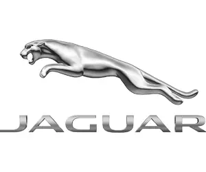 54. Jaguar