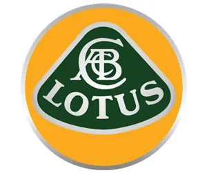 19. Lotus
